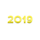 2019 vuosi