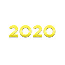 2020 vuosi