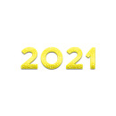 2021 vuosi
