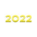 2022 vuosi