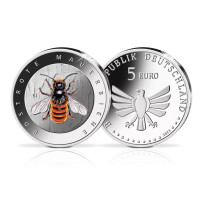 Saksa 5 euron UNC 2023-2 - Hyönteisten ihana maailma - Red Mason Bee