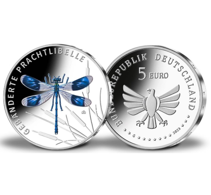 Saksa 5 euron UNC 2023-3 - Hyönteisten ihana maailma - Banded Damsel