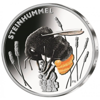 Saksa 5 euron UNC 2024 - Hyönteisten ihana maailma - Red-Tailed Bumblebee