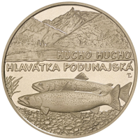 Slovakia 5 euroa UNC 2025 - Fauna and Flora Slovakiassa - Tonavan lohi