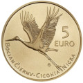  Slovakia 5 euroa UNC 2023 - Fauna and Flora Slovakiassa - Musta haikara