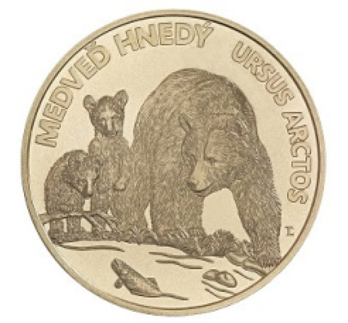  Slovakia 5 euroa UNC 2023 - Fauna and Flora Slovakiassa - Ruskea karhu