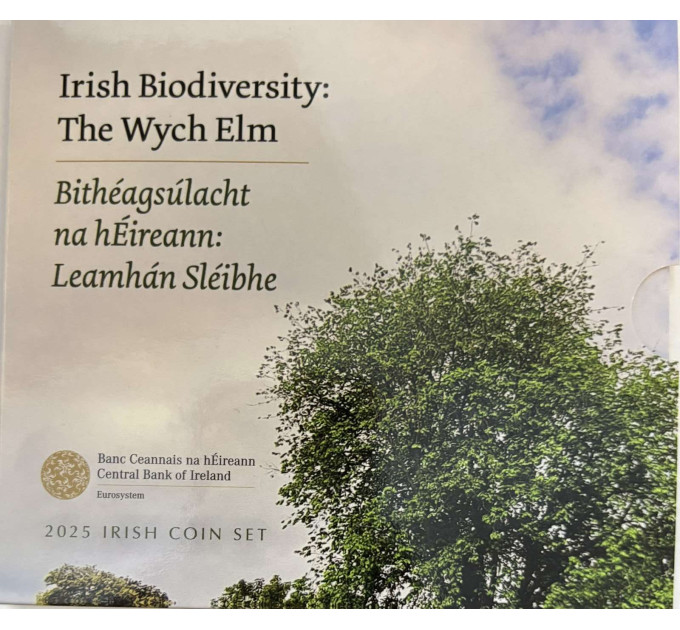 Irlanti euro set BU 2025 - Biologinen monimuotoisuus - Wych Elm