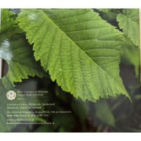 Irlanti euro set BU 2025 - Biologinen monimuotoisuus - Wych Elm
