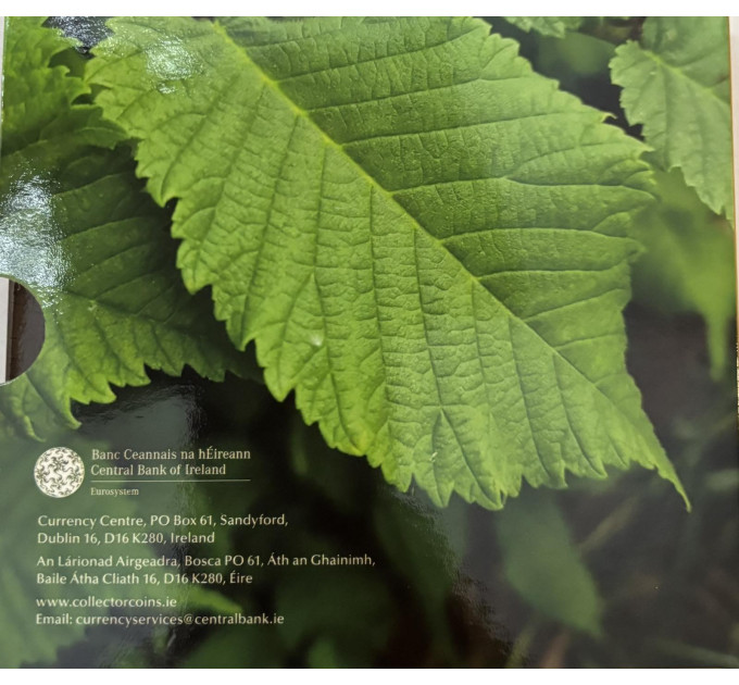 Irlanti euro set BU 2025 - Biologinen monimuotoisuus - Wych Elm